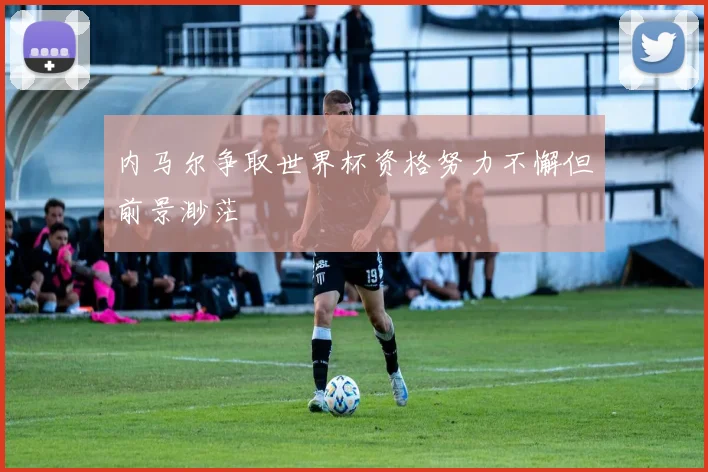 内马尔争取世界杯资格努力不懈但前景渺茫