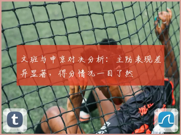 文班与申京对决分析：主防表现差异显著，得分情况一目了然