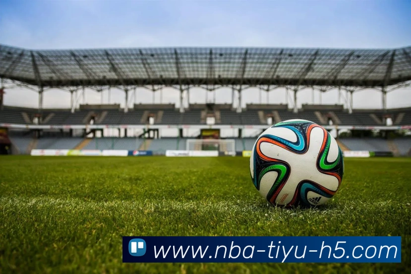 篮球赌注平台生态图