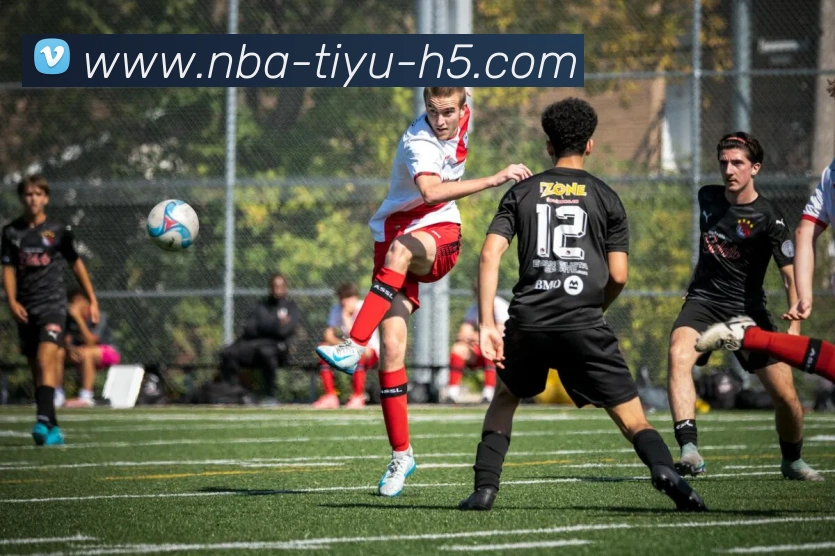 篮球赌注全站App